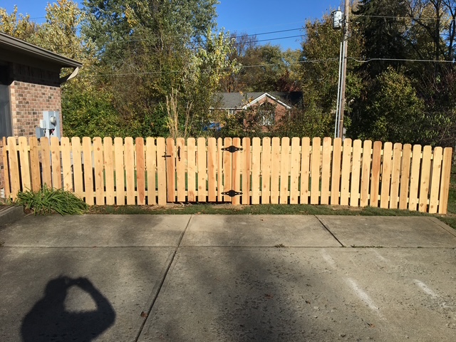 A wooden picket fence with two gates, surrounded by greenery and a driveway, against a clear blue sky.
