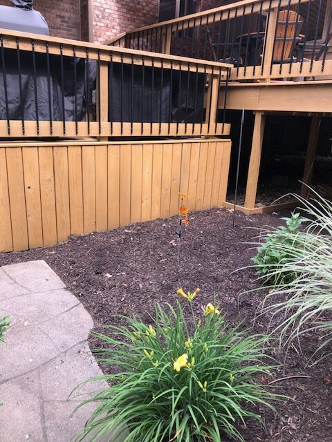 A landscaped garden area featuring yellow flowers, mulch, and a wooden deck in the background.