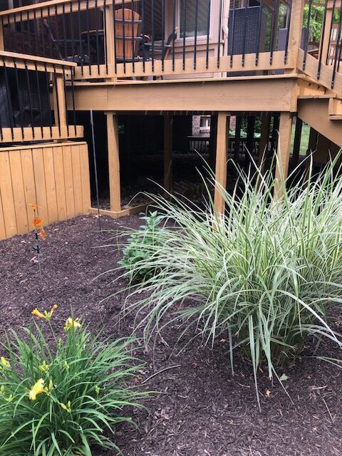 A landscaped area featuring yellow daylilies and ornamental grass under a wooden deck with black railings.